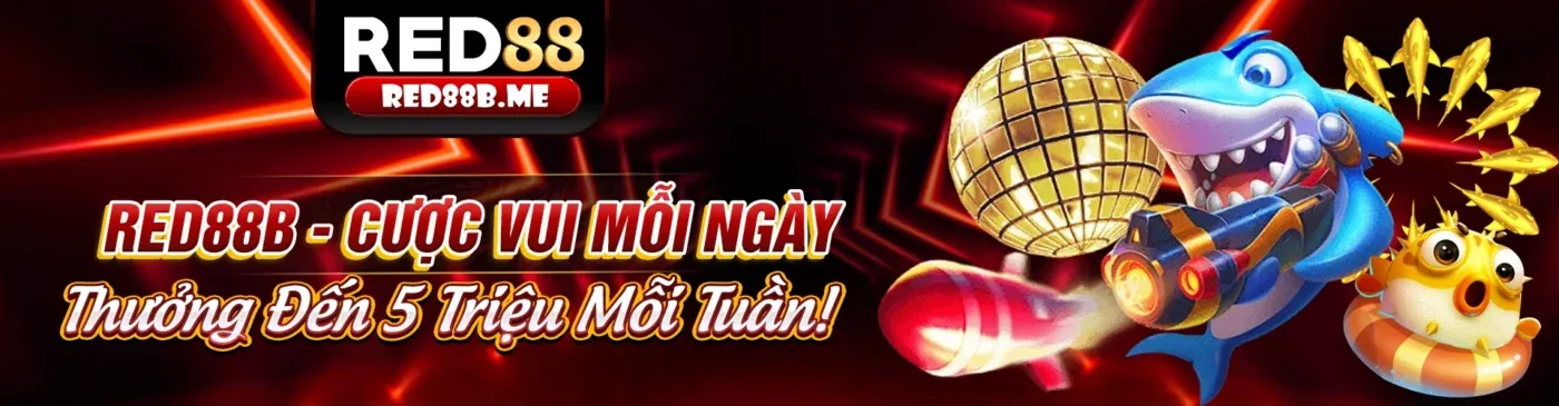 Hình ảnh chính của Blog vnbet88